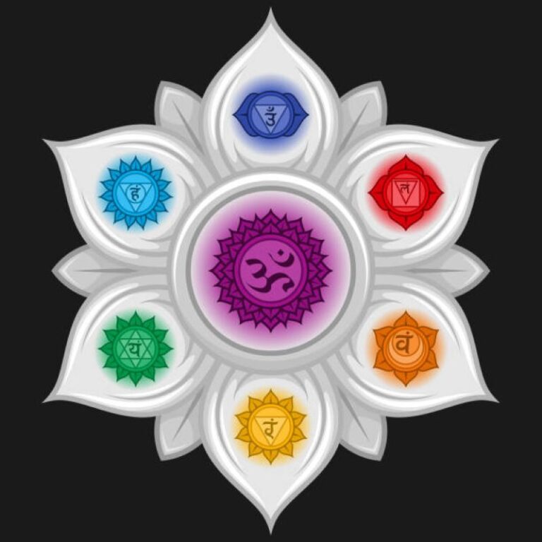 Les chakras sont des centres d'énergie situés le long de la colonne vertébrale