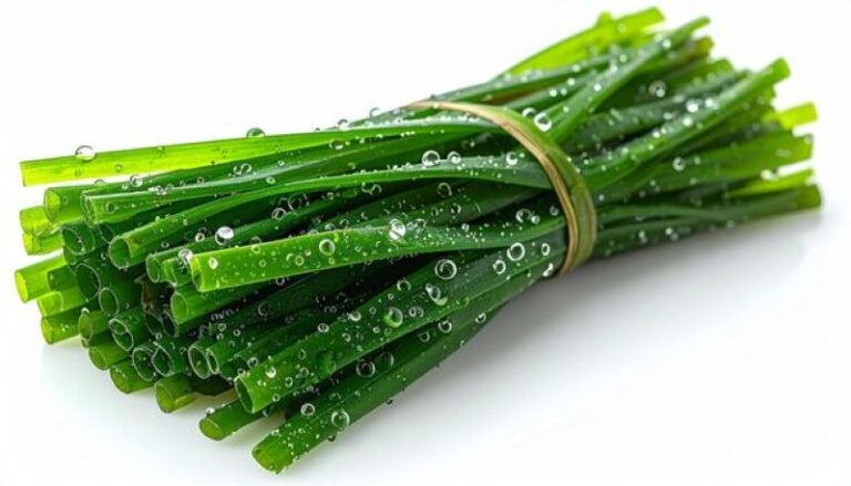 Plante condimentaire annuelle, l’aneth est cultivé pour ses feuilles et ses graines très aromatiques, L'aneth est reconnu pour ses vertus anti-inflammatoires et antispasmodiques