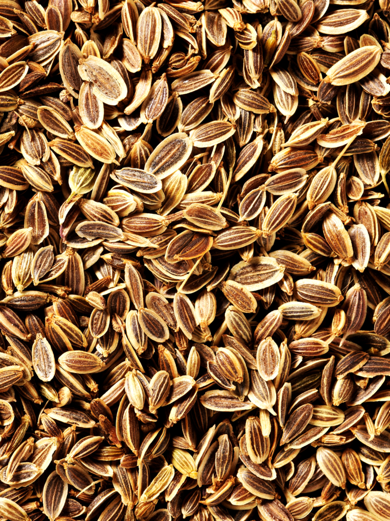Plante condimentaire annuelle, l’aneth est cultivé pour ses feuilles et ses graines très aromatiques, L'aneth est reconnu pour ses vertus anti-inflammatoires et antispasmodiques